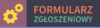 formulaz zgłoszeniowy