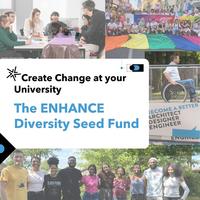 Nabór wniosków: ENHANCE Diversity Seed Fund